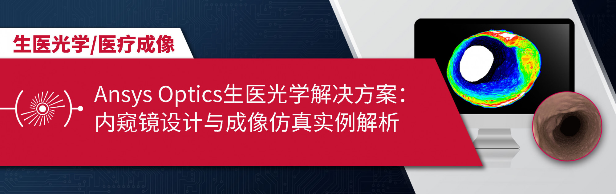 Ansys Optics 生医光学解决方案：内窥镜设计与成像仿真实例解析
