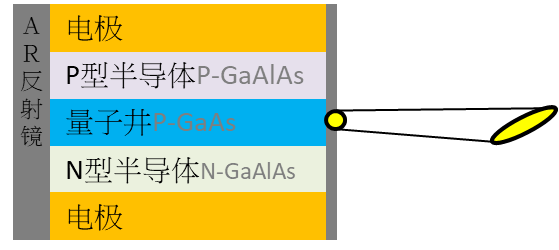 EEL的结构示意图