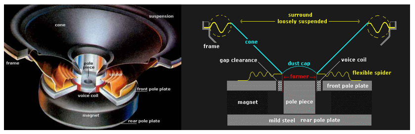 扬声器结构示意图